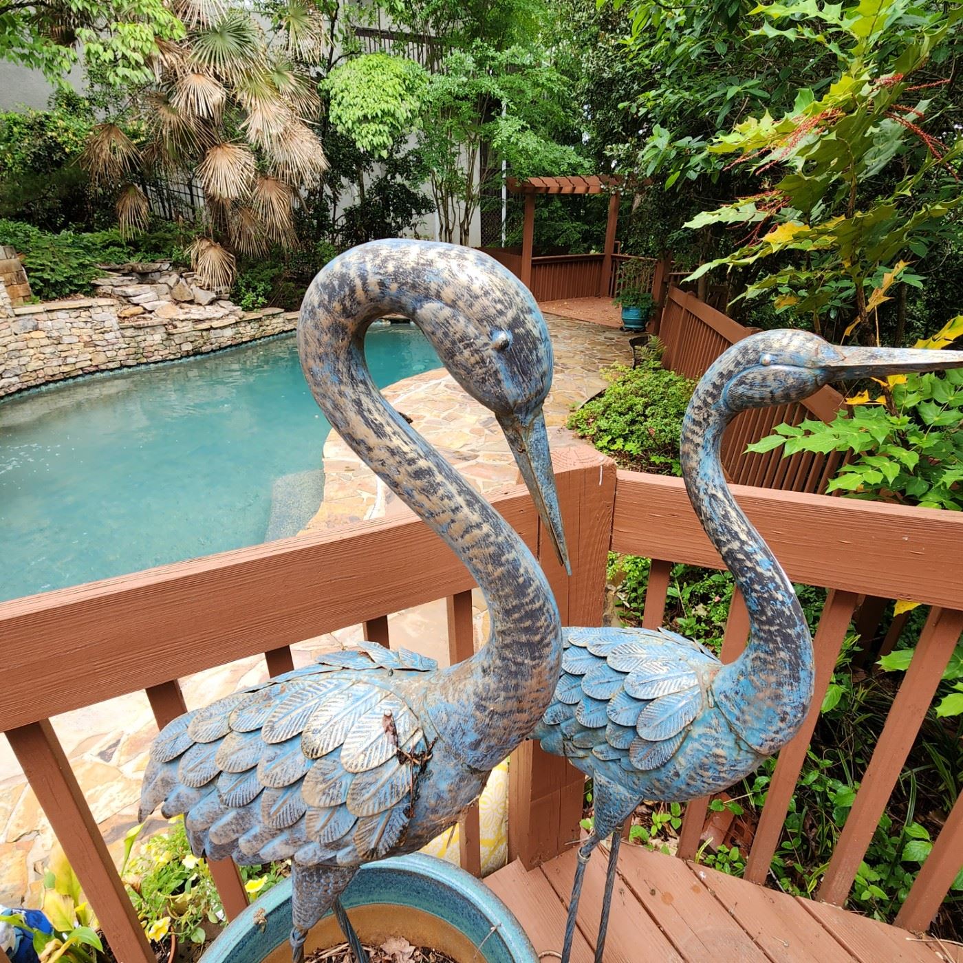 Amazing Eagle Watch Home